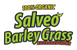 Salveo Barley Grass